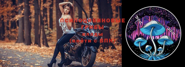 тгк Арсеньев